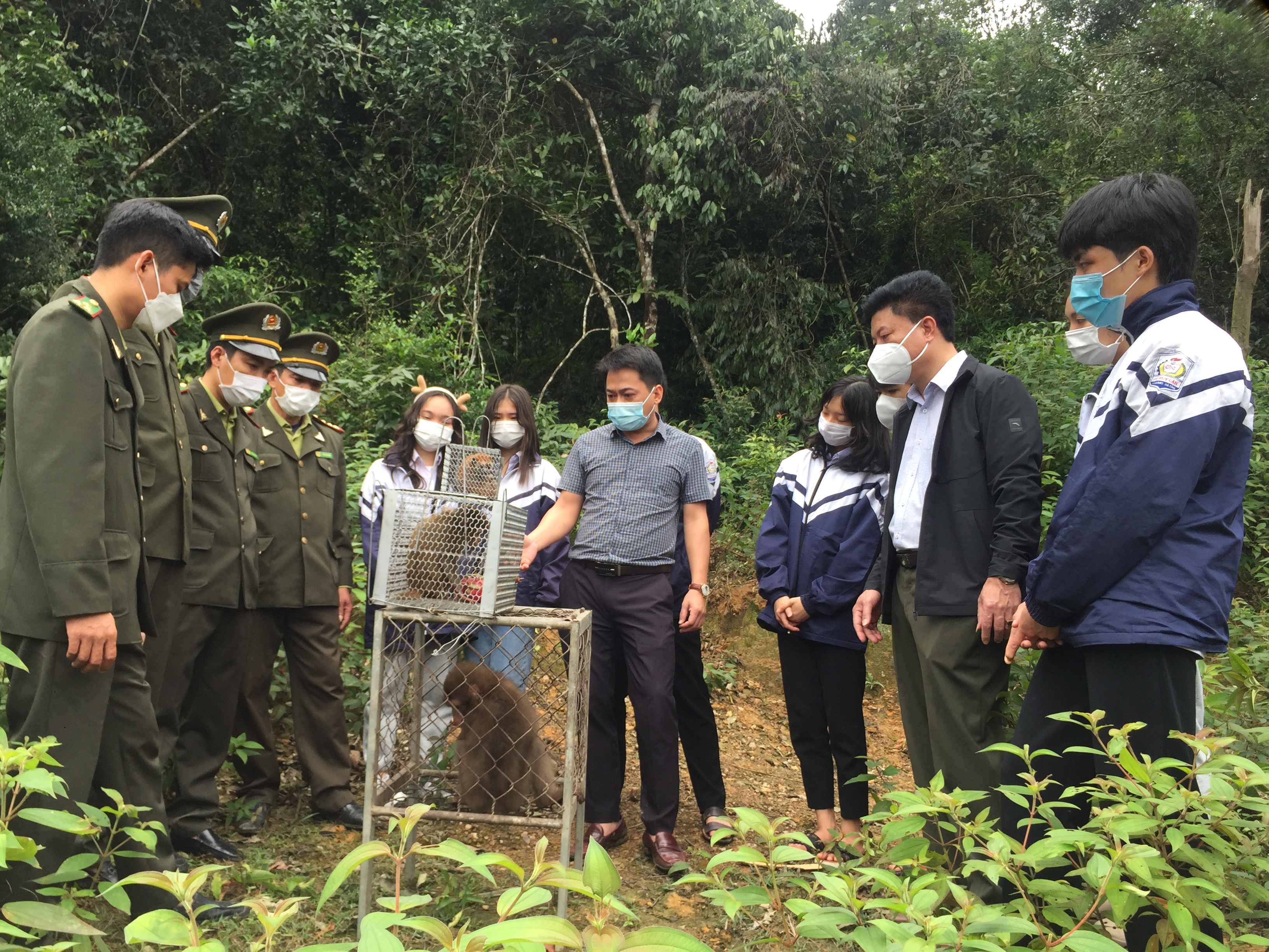 Vườn Quốc gia Vũ Quang tái thả 03 cá thể động vật hoang dã quý, hiếm về môi trường tự nhiện.