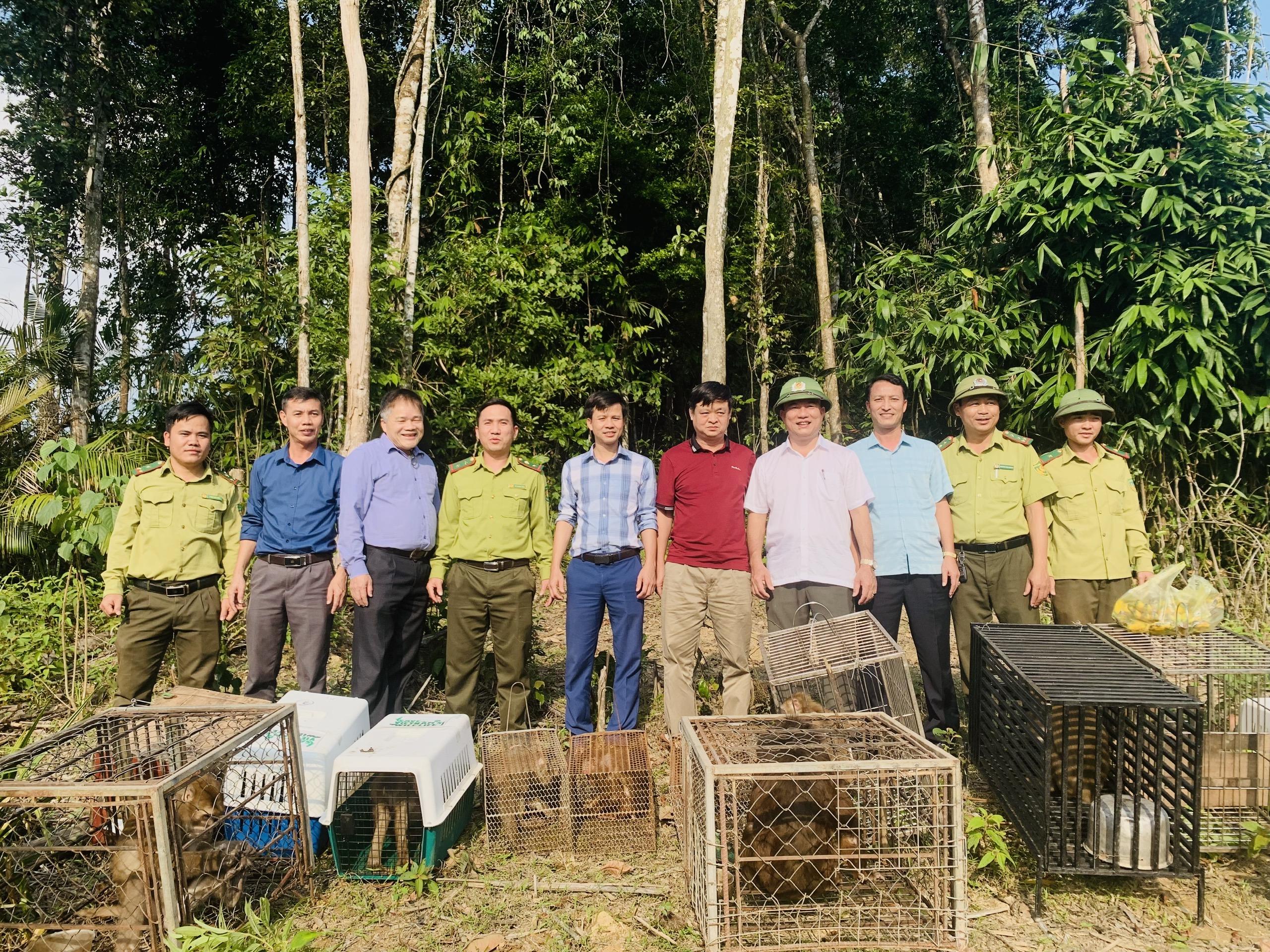 Vườn Quốc gia Vũ Quang tái thả các cá thể động vật hoang dã về với môi trường tự nhiên