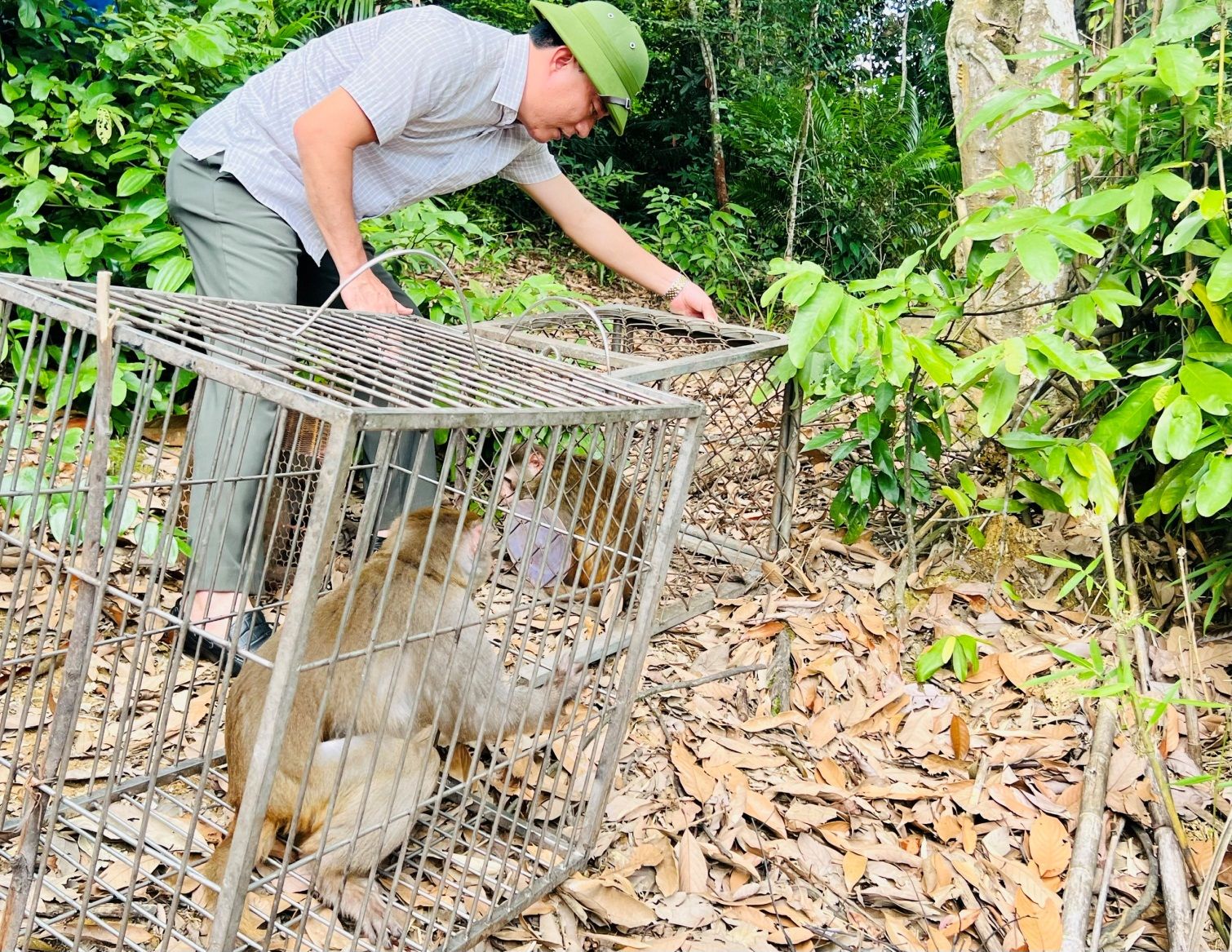 Vườn Quốc gia Vũ Quang - Nơi trở về của những “Mảnh đời” động vật hoang dã